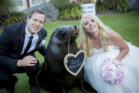 Top Tips For Animals At Weddings True Bride