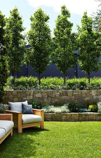 33 Ideas Screen Plants Privacy Fast Growing Trees For 2019 Backyard