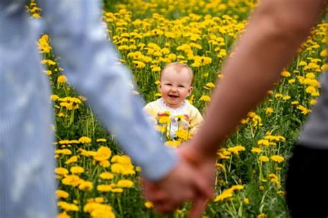صور خلفيات وردة بيضاء في يد بنت. أفضل صور يد ماسكة ورد يمكن أن تجدها على الإنترنت | ويكي ...