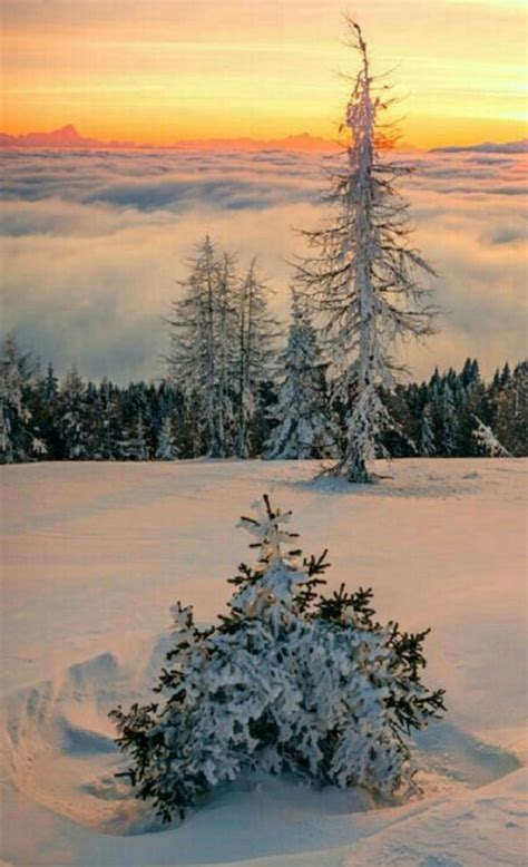 Pin By Adnan Wardat On Kış Güneşi Winter Landscape Winter Pictures