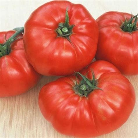 Heirloom Organic Beefsteak Tomato Seeds Non Gmo Vegetable Etsy