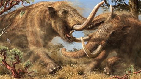 This Newly Discovered Mastodon Species Roamed California For Millions