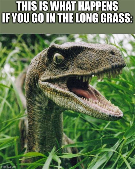 Jurassic Park Raptor Memes And S Imgflip