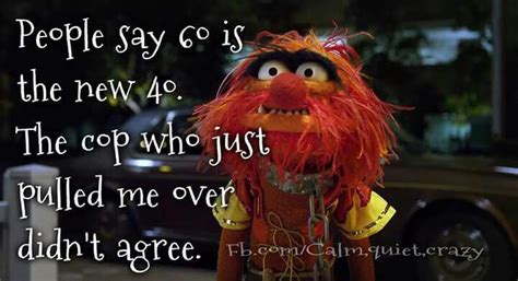 Muppet Quotes Life Quotesgram C5b