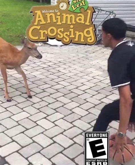 Your daily dose of fun! EA Sports is Overrated This is real Basketball | Animal ...