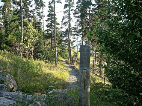 Ocean Path In Acadia National Park Wanderwisdom