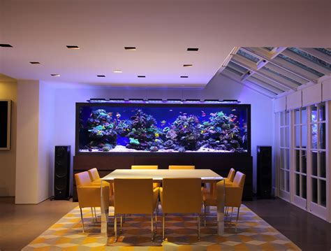 Industry Leaders In Luxury Fish Tanks Aquarium Architecture