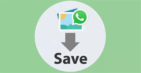 How To Save Whatsapp Photos To Gallery On Androidiphone