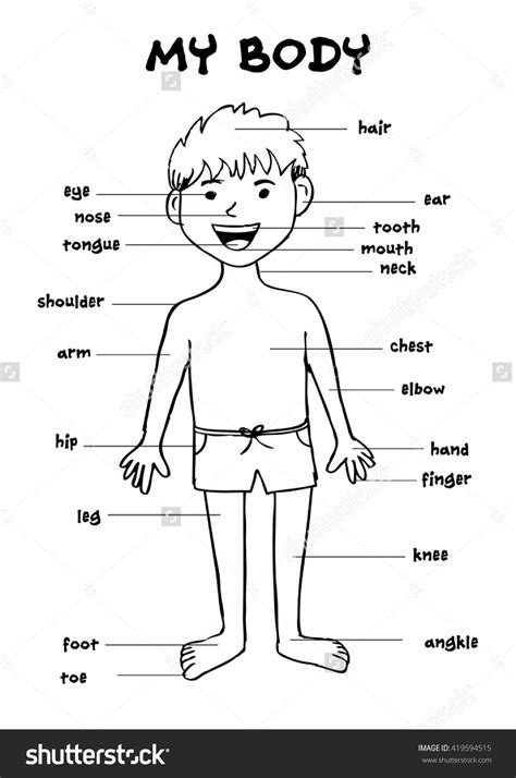 Design 65 Of Parts Of The Body Clipart Black And White Irisryder