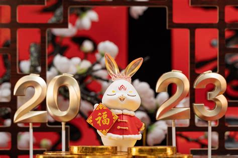 prichádza rok pokoja sľubuje čínsky zajac tešte sa na nové začiatky aj triedenie myšlienok
