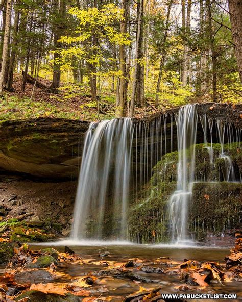 Where To Find Incredible Foliage Views In The Pa Grand Canyon