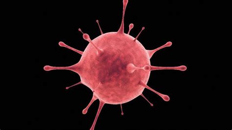 Heboh sebut corona konspirasi taufik monyong tantang hisap virus corona. Itu tidak menakutkan! Pertama, simak fakta varian baru virus corona di Inggris