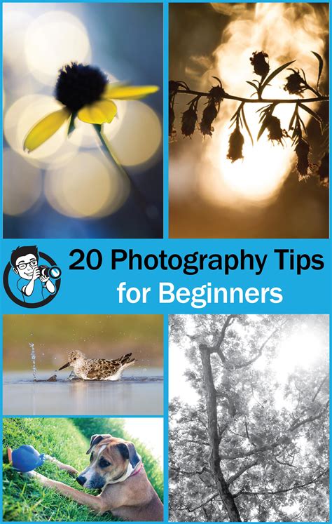 Photography Tips For Beginners 20 Easy Tips Get Started Now