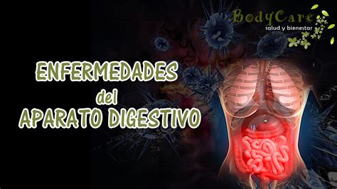 Enfermedades Del Aparato Digestivo Salud Y Bienestar