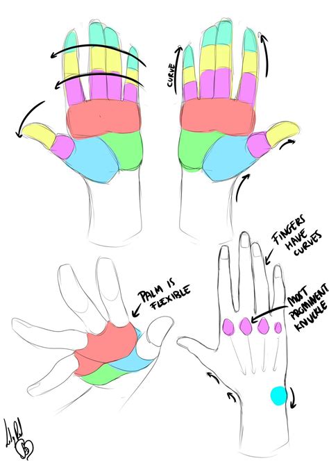 Pin By Tyler Bolyard On 2d Stylized Construction And Anatomy Drawing