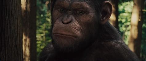2011 Rise Of The Planet Of The Apes