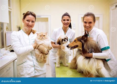 Team Of Smiling Veterinarian With Animals At Pet Ambulance Stock Photo