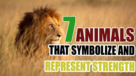 7 Animals That Symbolize And Represent Strength Sign Meaning Youtube