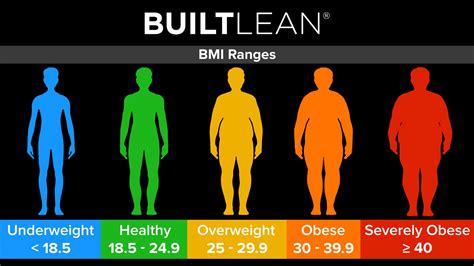 Adult Bmi Chart In Pounds