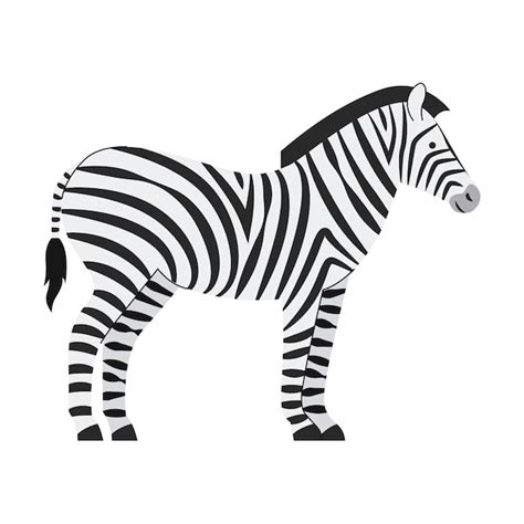 Premium Vector Zebra Cartoon Vector