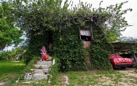 Pokok menjalar, dinding berhabuk dan lantainya yang berlecah. Hobbit house viral | Hobbit House in Pasir Puteh, Kelantan ...