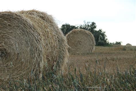 Hay Bales On The Farm Free Stock Photo Public Domain Pictures