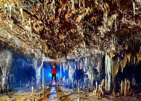 Brazils Terra Ronca Caves Look Incredible 10 Photos Twistedsifter