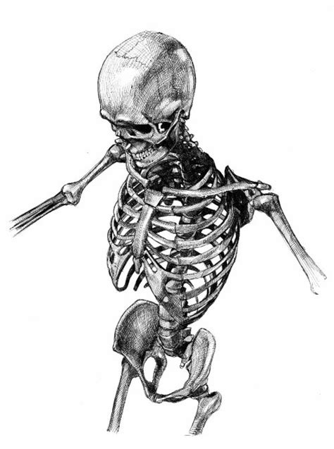 Ballpoint Skeleton Sketch A Man Of The Past