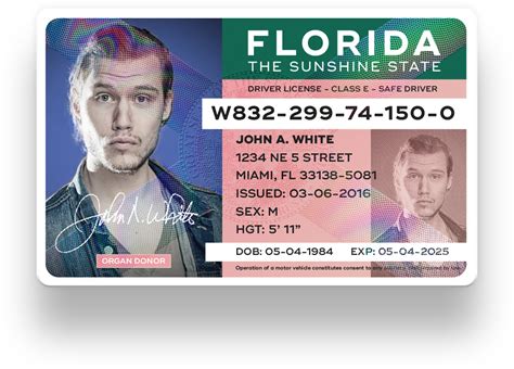 Redesign Florida Drivers License