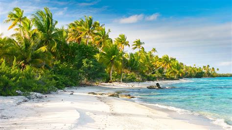 Fakarava Atoll Travel Guide Diving And Vacations