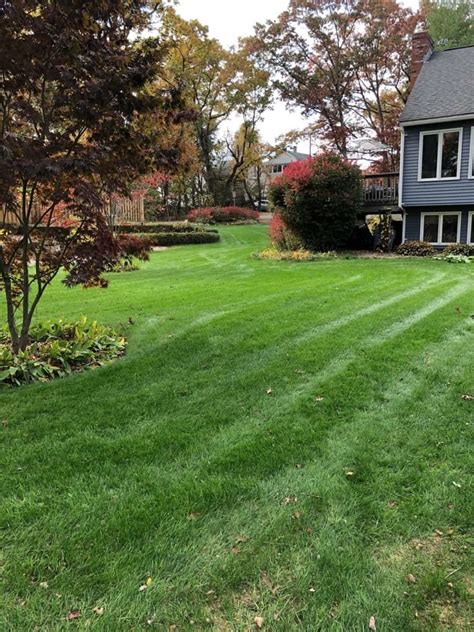Mow the lawn to approx 25mm. Lawn Aeration & Overseeding - MASS TURF AERATION - Bellingham, MA