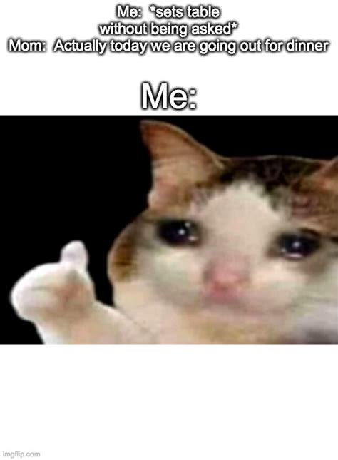 Sad Cat Meme Thumbs Up Png