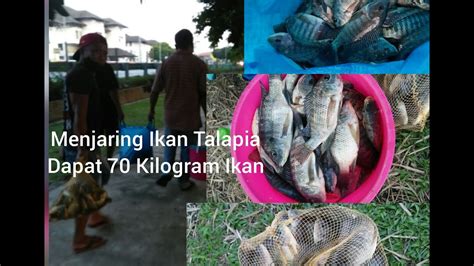 Kelana jaya, selangor (behind western digital). Menjaring Ikan Di Taman Tasik Kelana Jaya, Petaling Jaya ...