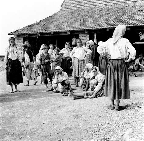 Collection Pictures Jasenovac Concentration Camp Photos Completed