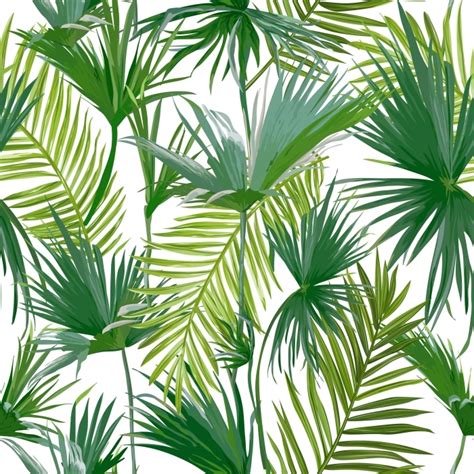 Fotobehang Tropische Palmbladen Pixersbe Hojas De Palma Fondo De