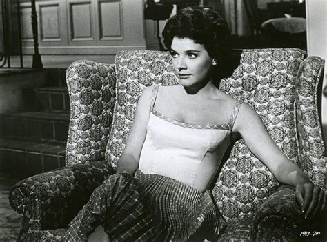 46 Polly Bergen Nude Pictures Flaunt Her Diva Like Looks