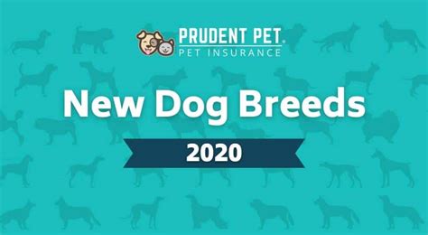 New Purebred And Cross Breed Dogs Of 2019 Prudent Pet Insurance