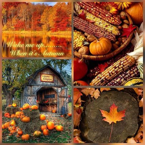 Pin By Becky Cagwin On Seasons Amazing Autumn Painting Pumpkin