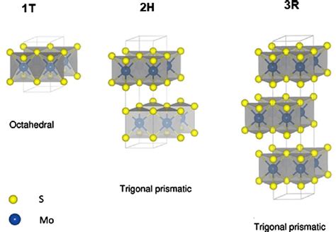 Molybdenum Disulfide Crystal Structure Octahedral Trigonal Prismatic