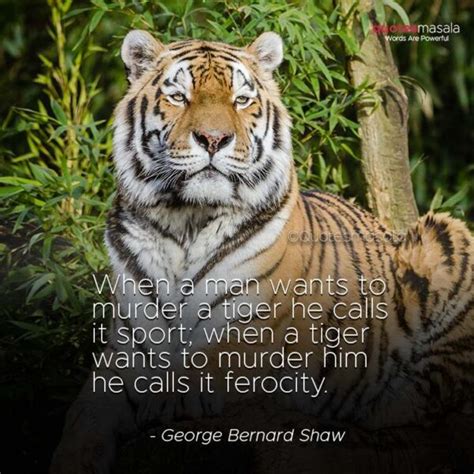 Best 150 Tiger Quotes On Attitude Courage Quotes For Inspiration