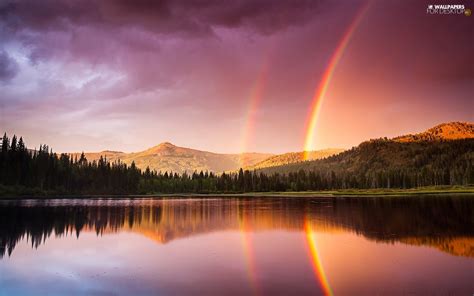 Lake Great Rainbows Forest Forest Mountains For Desktop