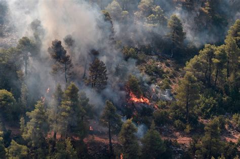Jul 03, 2021 · bosbranden teisteren griekse eiland kefalonia. Griekenland wordt geteisterd door bosbranden | De Morgen