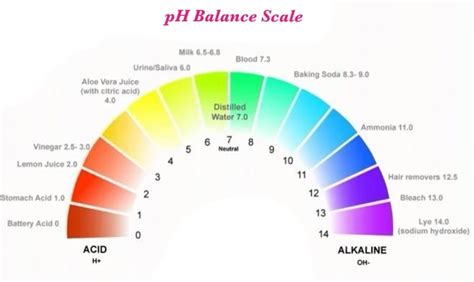 Is Your Body Too Acidic Heres How To Make It Alkaline Extreme