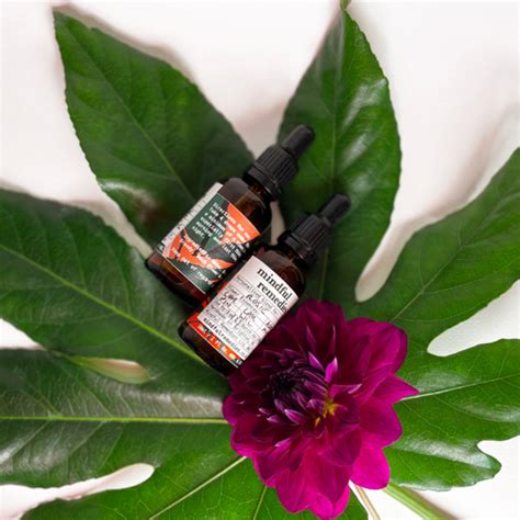Bach Flower Remedies for Depression: Natural Remedies for a Depressed