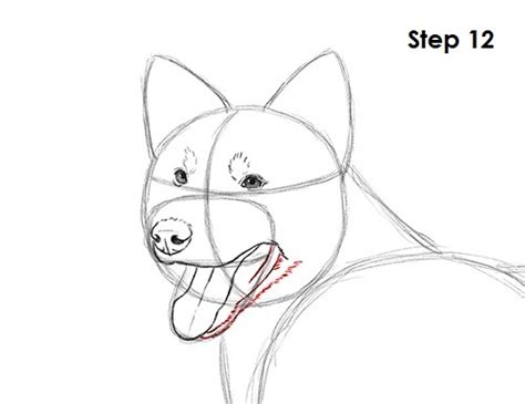Dog Mouth Drawing At Explore Collection Of Dog