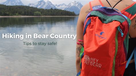 Hiking In Bear Country Tips To Stay Safe Hey Bear