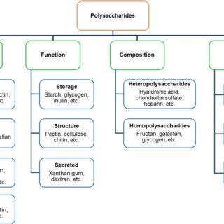 The Bioactivities Of Plant Polysaccharides And Their Influences On Download Scientific Diagram
