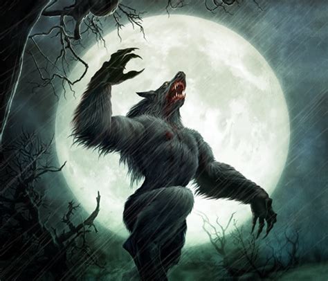 World Of Mystery Werewolf In The History