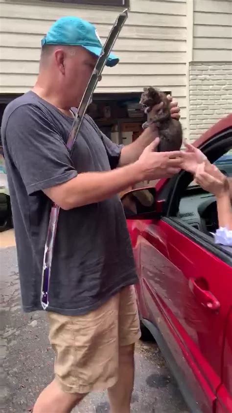 Woman Surprises Husband By Gifting Kitten Jukin Licensing