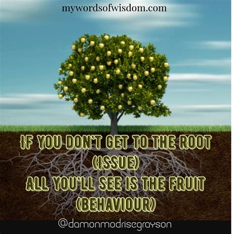 If You Dont Get To The Root All You See Is The Fruit Words Of Wisdom